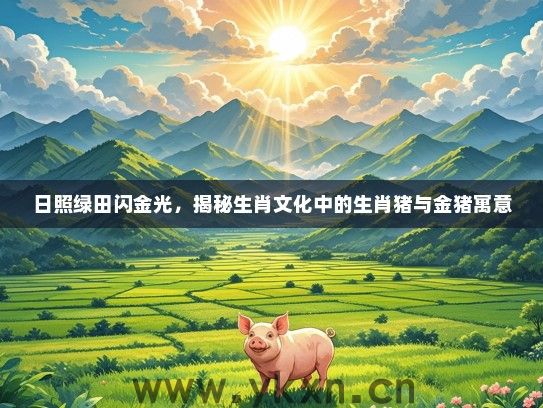 日照绿田闪金光，揭秘生肖文化中的生肖猪与金猪寓意